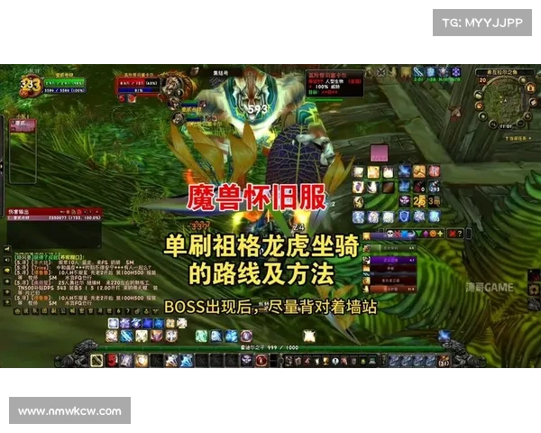 魔兽世界怀旧服:坐骑装备视频全新复制